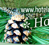 Hotel Urlaub Harz